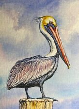 Watercolor painting pelican for sale  USA