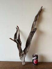 Driftwood piece slender for sale  ROCHDALE