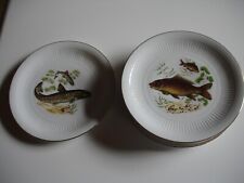 Speiseteller fischmotiv fischt gebraucht kaufen  Saarbrücken