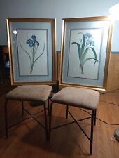 Vintage iris botanical for sale  Sun Valley
