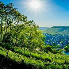 Natururlaub vulkaneifel hotel gebraucht kaufen  Hamburg