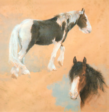 Gypsy horses. print for sale  NELSON