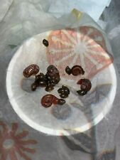 Live bladder snails for sale  Shipping to Ireland
