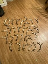 Lot whitetail deer for sale  Palmyra