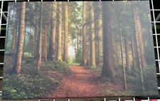 Leinwand wald nadelwald gebraucht kaufen  Leipzig