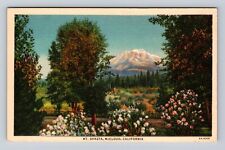 McCloud CA-California, Mt. Shasta From River Lumber Guest House Vintage Postcard for sale  Shipping to South Africa