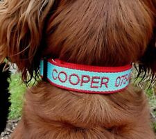 Dog collar puppy for sale  TELFORD