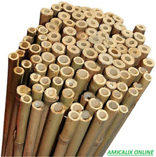 Canne bamboo 210 usato  Agliana