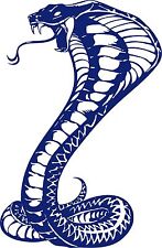 Large snake naja for sale  Chatsworth