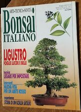 Bonsai italiano maggio usato  Verzuolo