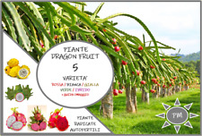 piante varieta usato piante varieta usato Giulianova