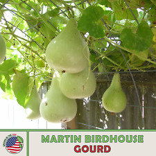 Martin birdhouse gourd for sale  Venice