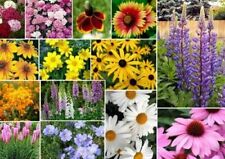 200 mixed wildflower d'occasion  Expédié en Belgium