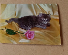 Vintage .postcard cat d'occasion  Expédié en Belgium