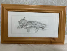 Framed tabby cat for sale  BURY