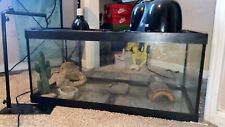 Terrarium for sale  Bardstown