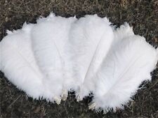 ostrich feathers for sale  Shipping to Ireland