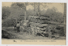 Promenade forêt transport d'occasion  France