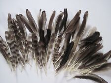 Chicken feathers naturally for sale  Williamstown