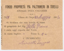 Cibeno Carpi - Modena - 1904 fondo Paltrinieri Tirelli allevamento monta maiali usato  Bologna