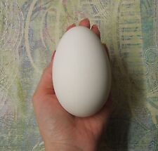 Blown goose egg for sale  BANBURY