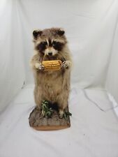 Raccoon taxidermy full for sale  Las Vegas