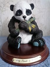 Leonardo baby panda for sale  SOUTH SHIELDS