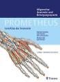 Prometheus lernatlas anatomie gebraucht kaufen  Leingarten