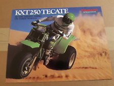Kawasaki kxt250 tecate for sale  BUILTH WELLS
