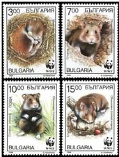 Bulgaria 1994 wwf usato  Italia