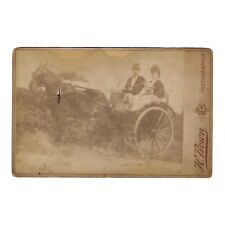 Usado, Antigua tarjeta de gabinete foto victoriana al aire libre hombre mujer carruaje de caballos Londres segunda mano  Embacar hacia Argentina
