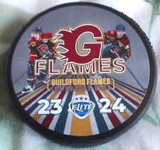 Guildford flames 2023 for sale  WOKING
