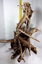 Driftwood root taxidermy for sale  Brookwood