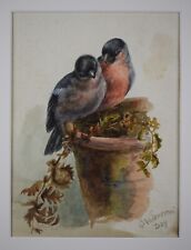 Bullfinches. watercolour circa for sale  Shipping to Ireland
