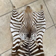 Zebrafell groß namibia gebraucht kaufen  Bollendorf