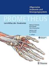 Prometheus allgemeine anatomie gebraucht kaufen  Stuttgart