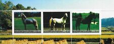 Horses horse breeds for sale  Shipping to Ireland