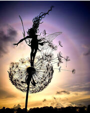 Fairies dandelions dance for sale  Shipping to Ireland