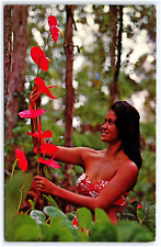 Beautiful model hawaiian for sale  South Bend