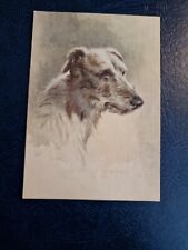 Deerhound handsome dog for sale  BLACKPOOL