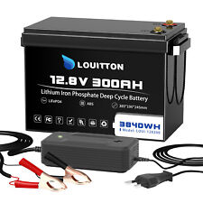 12v lifepo4 battery for sale  Shipping to Ireland