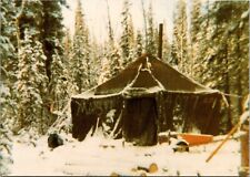 Cartão postal Tok Alaska AK Mash Tent casa da família Bernardt viveu até o inverno comprar usado  Enviando para Brazil