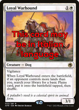 Mtg loyal warhound usato  Italia