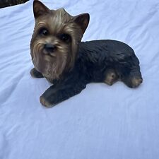 yorkies for sale  WORCESTER