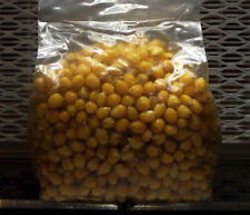 Sterilized popcorn mushroom for sale  Mc Connell