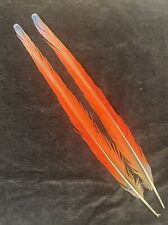 Pair macaw feathers for sale  Put in Bay