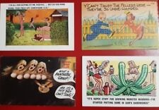 Cartes postales humour d'occasion  Lavernose-Lacasse