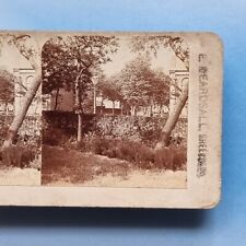 Stereoview card real for sale  TELFORD