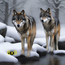 Set wolves snow for sale  Addison