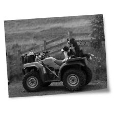 Impressões 8x10" (sem quadros) - BW - Border Collie Sheepdog Quad Farm Bike #43514, usado comprar usado  Enviando para Brazil